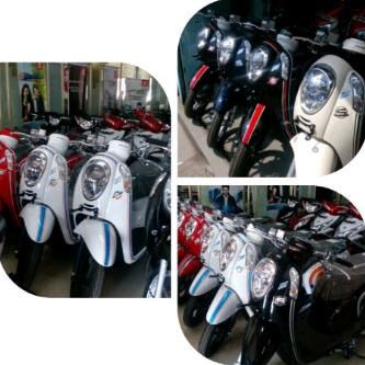 READY SCOOPY!!!!