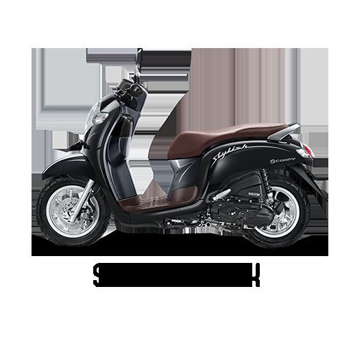 Honda Scoopy - STYLISH BLACK