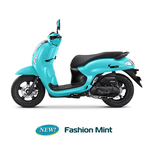 Scoopy Fashion  - 