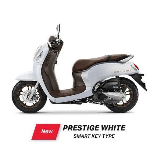 Scoopy Prestidge / Stylish - WHITE