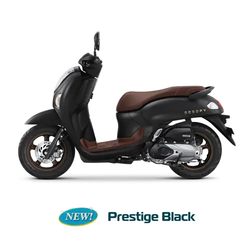 Scoopy Prestidge / Stylish - 