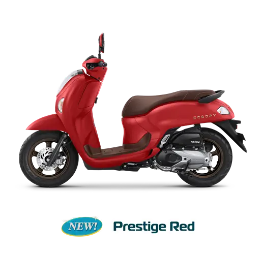Scoopy Prestidge / Stylish